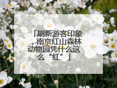 刷新游客印象，南京红山森林动物园凭什么这么“红”
