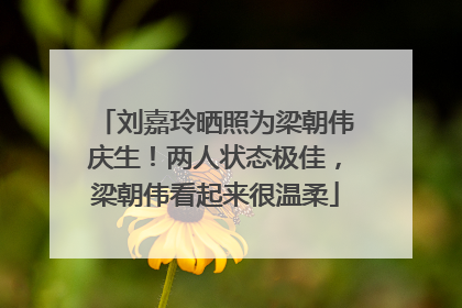 刘嘉玲晒照为梁朝伟庆生！两人状态极佳，梁朝伟看起来很温柔
