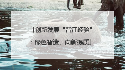 创新发展“晋江经验”：绿色智造、向新提质