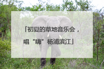 初夏的草地音乐会，唱“嗨”杨浦滨江