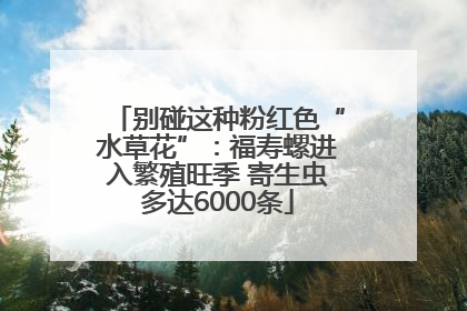 别碰这种粉红色“水草花”：福寿螺进入繁殖旺季 寄生虫多达6000条