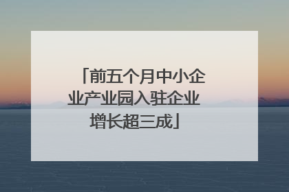 前五个月中小企业产业园入驻企业增长超三成