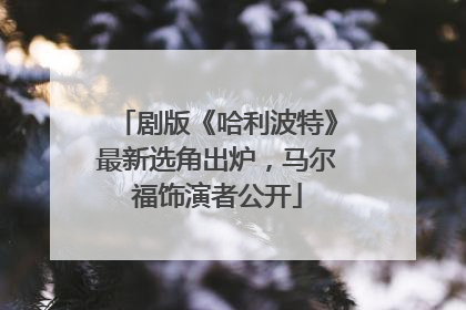 剧版《哈利波特》最新选角出炉，马尔福饰演者公开