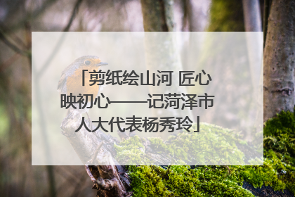 剪纸绘山河 匠心映初心——记菏泽市人大代表杨秀玲