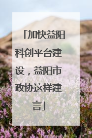 加快益阳科创平台建设，益阳市政协这样建言