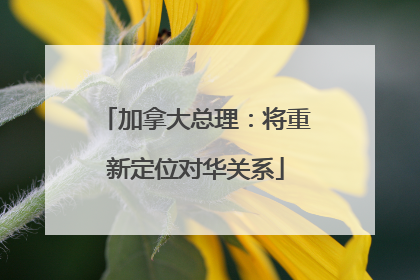 加拿大总理：将重新定位对华关系