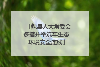 勉县人大常委会多措并举筑牢生态环境安全底线