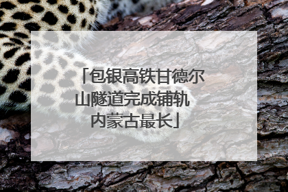 包银高铁甘德尔山隧道完成铺轨 内蒙古最长