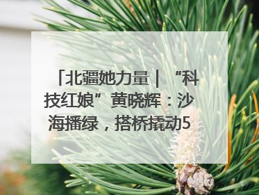 北疆她力量｜“科技红娘”黄晓辉：沙海播绿，搭桥撬动5.3亿研发