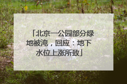 北京一公园部分绿地被淹，回应：地下水位上涨所致