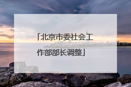 北京市委社会工作部部长调整