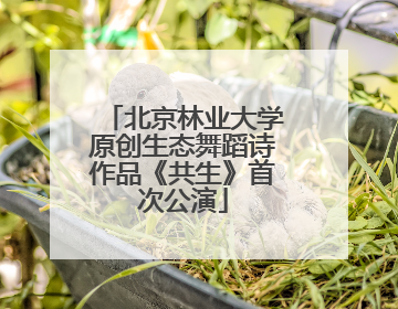 北京林业大学原创生态舞蹈诗作品《共生》首次公演