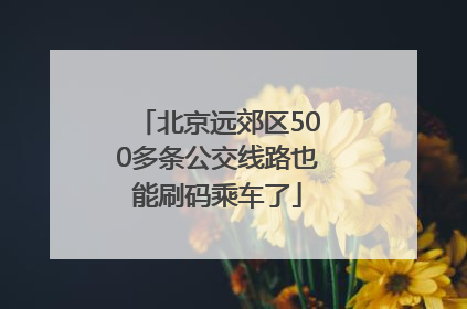 北京远郊区500多条公交线路也能刷码乘车了
