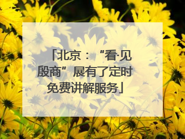 北京：“看·见殷商”展有了定时免费讲解服务