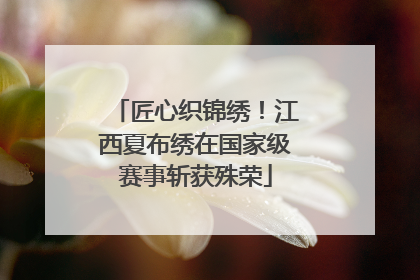 匠心织锦绣！江西夏布绣在国家级赛事斩获殊荣