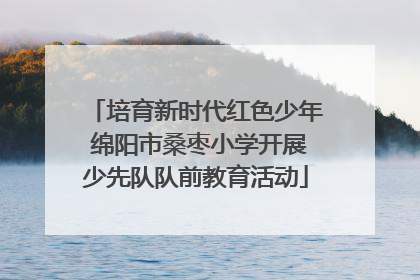 培育新时代红色少年 绵阳市桑枣小学开展少先队队前教育活动