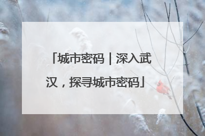 城市密码｜深入武汉，探寻城市密码