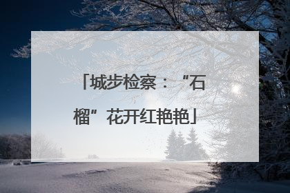 城步检察：“石榴”花开红艳艳