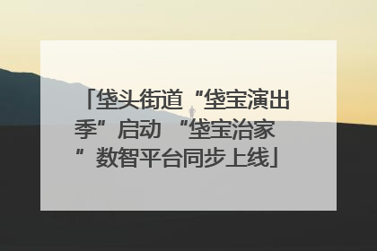 垡头街道“垡宝演出季”启动 “垡宝治家”数智平台同步上线