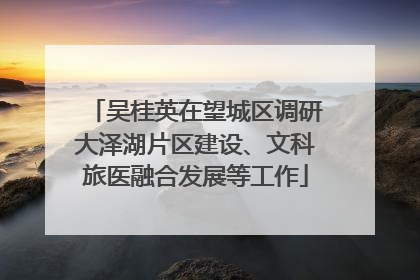 吴桂英在望城区调研大泽湖片区建设、文科旅医融合发展等工作