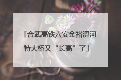 合武高铁六安金裕淠河特大桥又“长高”了