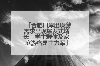 合肥口岸出境游需求呈现爆发式增长，学生群体及家庭游客是主力军