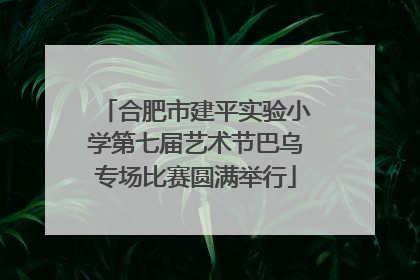 合肥市建平实验小学第七届艺术节巴乌专场比赛圆满举行