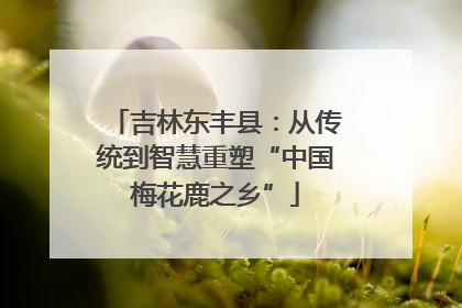 吉林东丰县：从传统到智慧重塑“中国梅花鹿之乡”