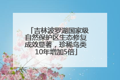 吉林波罗湖国家级自然保护区生态修复成效显著，珍稀鸟类10年增加5倍