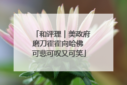 和评理｜美政府磨刀霍霍向哈佛 可悲可叹又可笑