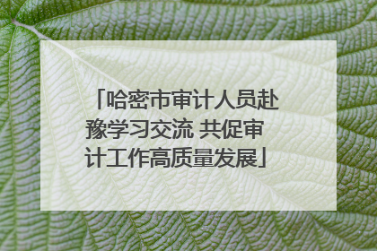 哈密市审计人员赴豫学习交流 共促审计工作高质量发展