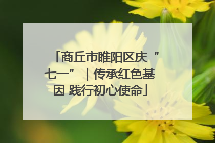 商丘市睢阳区庆“七一”｜传承红色基因 践行初心使命