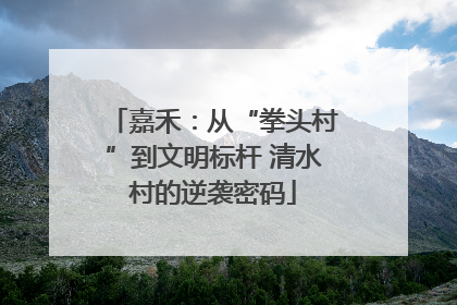 嘉禾：从“拳头村”到文明标杆 清水村的逆袭密码