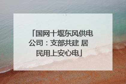 国网十堰东风供电公司：支部共建 居民用上安心电