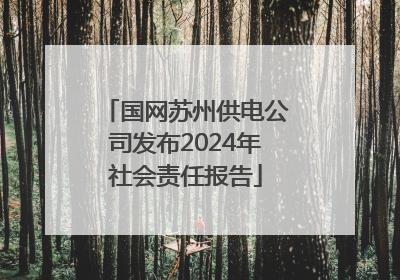 国网苏州供电公司发布2024年社会责任报告