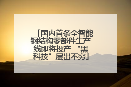 国内首条全智能钢结构零部件生产线即将投产 “黑科技”层出不穷