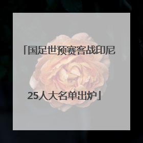 国足世预赛客战印尼25人大名单出炉