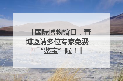 国际博物馆日，青博邀请多位专家免费“鉴宝”啦！