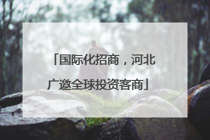 国际化招商，河北广邀全球投资客商