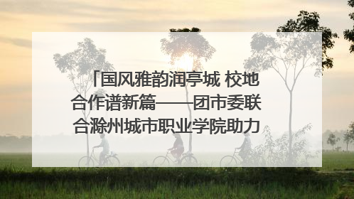 国风雅韵润亭城 校地合作谱新篇——团市委联合滁州城市职业学院助力传统文化“破圈”绽放