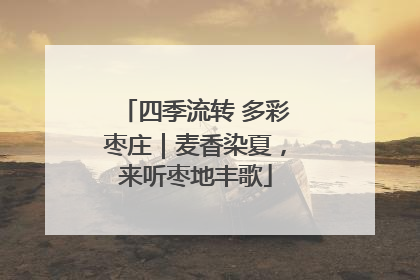四季流转 多彩枣庄｜麦香染夏，来听枣地丰歌
