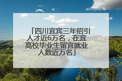 四川宜宾三年招引人才近6万名，在宜高校毕业生留宜就业人数近万名