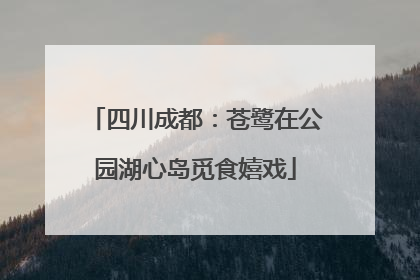 四川成都：苍鹭在公园湖心岛觅食嬉戏