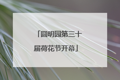 圆明园第三十届荷花节开幕