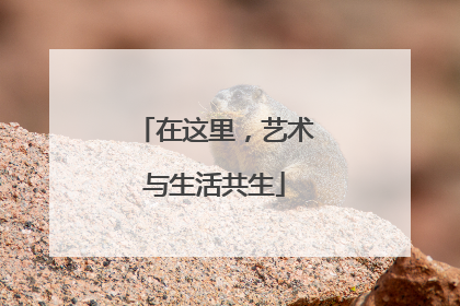 在这里，艺术与生活共生