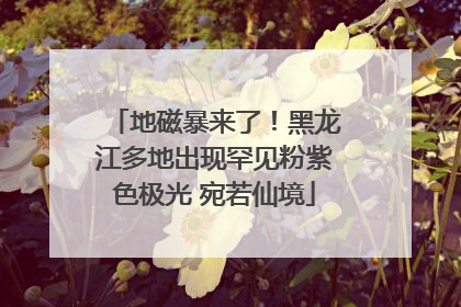 地磁暴来了！黑龙江多地出现罕见粉紫色极光 宛若仙境