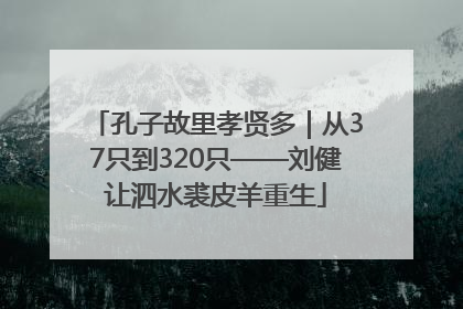 孔子故里孝贤多｜从37只到320只——刘健让泗水裘皮羊重生