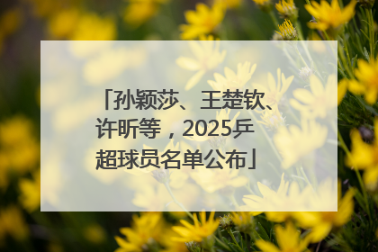 孙颖莎、王楚钦、许昕等，2025乒超球员名单公布