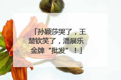 孙颖莎哭了，王楚钦笑了，潘展乐金牌“批发”！