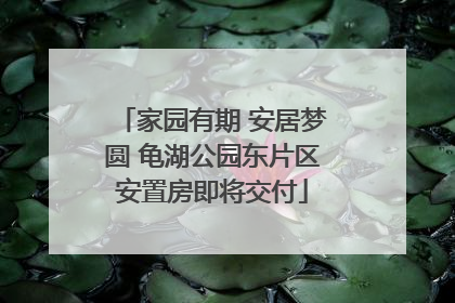 家园有期 安居梦圆 龟湖公园东片区安置房即将交付